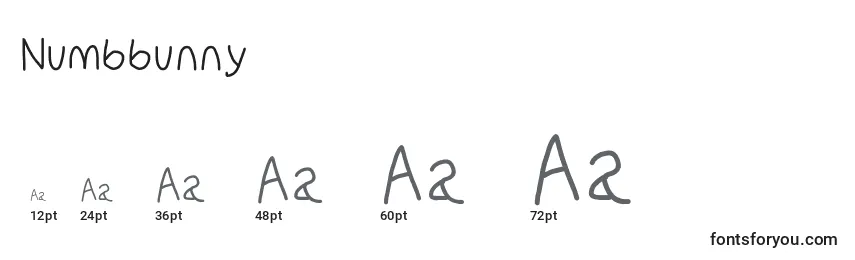 Размеры шрифта Numbbunny