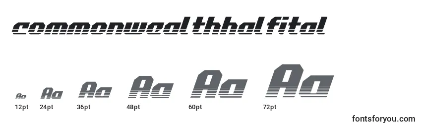 Commonwealthhalfital Font Sizes