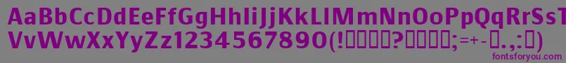 COMMSB   Font – Purple Fonts on Gray Background