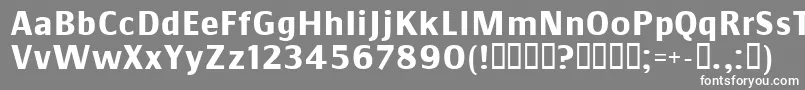 フォントCOMMSB   – 灰色の背景に白い文字