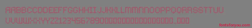 フォントComodotRound Bottom – 赤い文字の灰色の背景