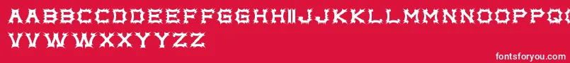 complex bruja free promo    Font – White Fonts on Red Background
