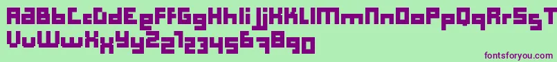 Computer Aid   Bold   Dker Font – Purple Fonts on Green Background