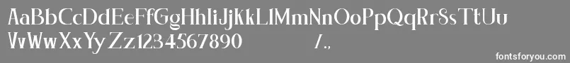Concetta Kalvani Serif Block Font – White Fonts on Gray Background
