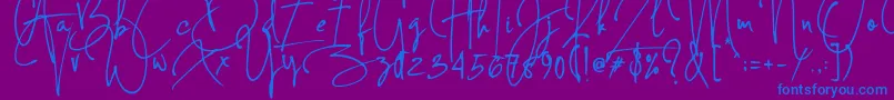 Concetta Kalvani Signature-Schriftart – Blaue Schriften auf violettem Hintergrund