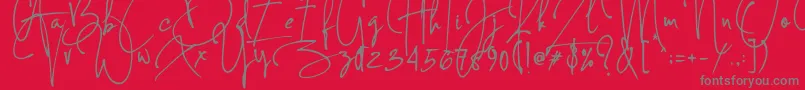 Concetta Kalvani Signature Font – Gray Fonts on Red Background