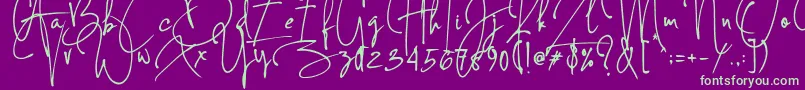 Concetta Kalvani Signature-Schriftart – Grüne Schriften auf violettem Hintergrund