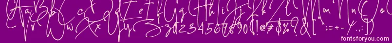 Concetta Kalvani Signature Font – Pink Fonts on Purple Background