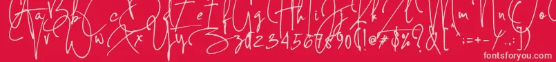 Concetta Kalvani Signature Font – Pink Fonts on Red Background