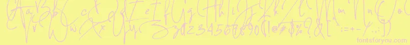 Concetta Kalvani Signature Font – Pink Fonts on Yellow Background