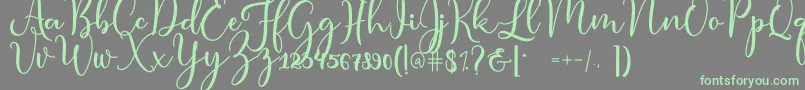 condita Font – Green Fonts on Gray Background