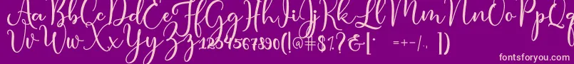 condita Font – Pink Fonts on Purple Background