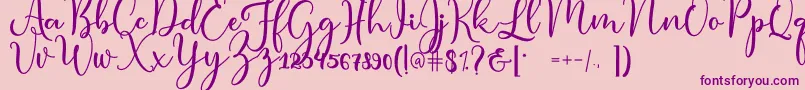 condita Font – Purple Fonts on Pink Background