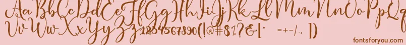 condita Font – Brown Fonts on Pink Background