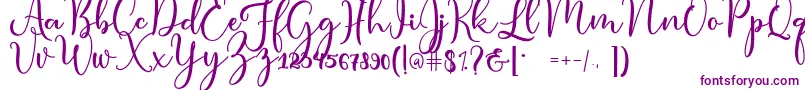condita Font – Purple Fonts on White Background