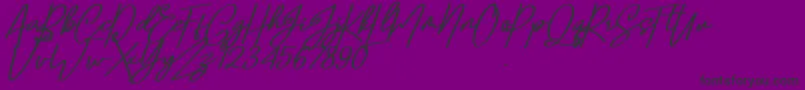 Confidante-fontti – mustat fontit violetilla taustalla