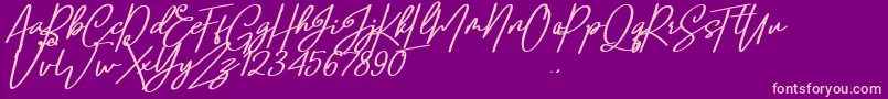 Confidante Font – Pink Fonts on Purple Background