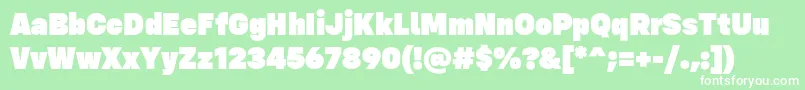 フォントConfigUltra Regular – 緑の背景に白い文字