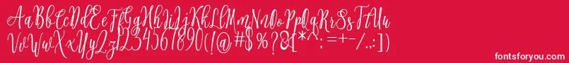 Connekia Font – White Fonts on Red Background