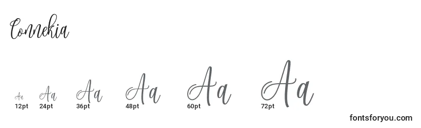 Connekia Font Sizes