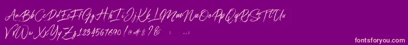 Connoisseurs Font – Pink Fonts on Purple Background