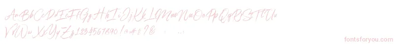 Connoisseurs Font – Pink Fonts