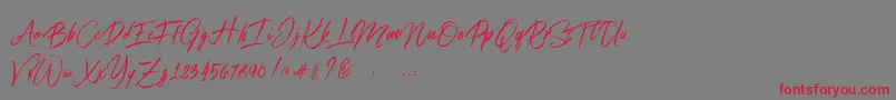 Connoisseurs Font – Red Fonts on Gray Background