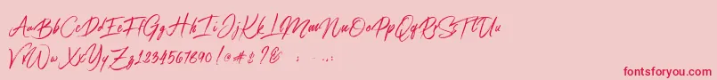 Connoisseurs Font – Red Fonts on Pink Background