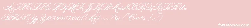 HelenascriptEs-Schriftart – Weiße Schriften auf rosa Hintergrund