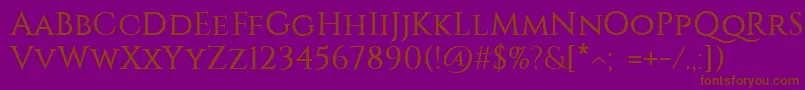 Constantine Font – Brown Fonts on Purple Background