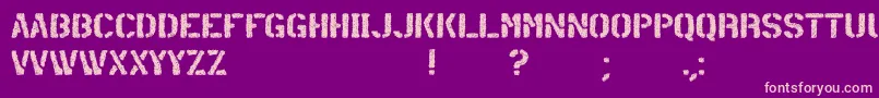 container Font – Pink Fonts on Purple Background