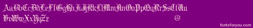 cooed    Font – Pink Fonts on Purple Background