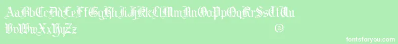 cooed    Font – White Fonts on Green Background