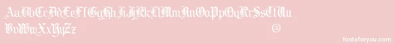 フォントcooed    – ピンクの背景に白い文字