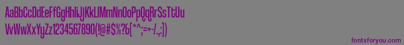 フォントcoolvetica compressed rg – 紫色のフォント、灰色の背景
