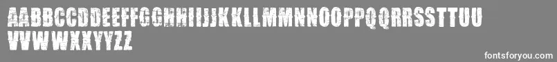 VtksDesgaste Font – White Fonts on Gray Background