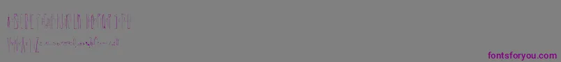 Czcionka coreys erc 2006 – fioletowe czcionki na szarym tle