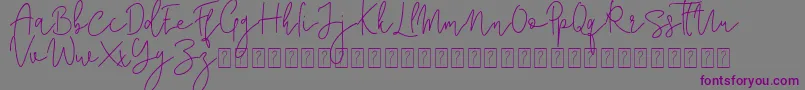Corline Signature-Schriftart – Violette Schriften auf grauem Hintergrund