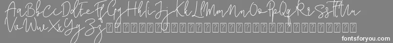 フォントCorline Signature – 灰色の背景に白い文字