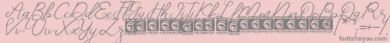 CorlitaScript Free Font – Gray Fonts on Pink Background