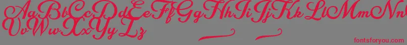 Costa Rica Personal Use Font – Red Fonts on Gray Background