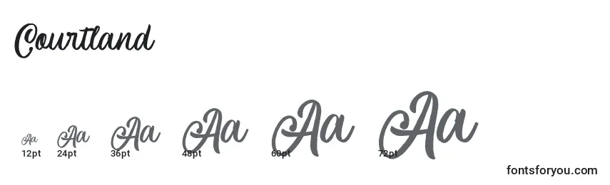 Größen der Schriftart Courtland (124062)