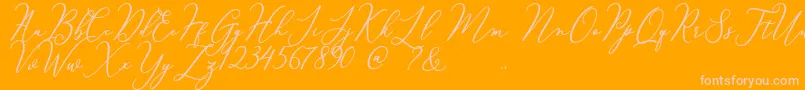 Courtney Font – Pink Fonts on Orange Background