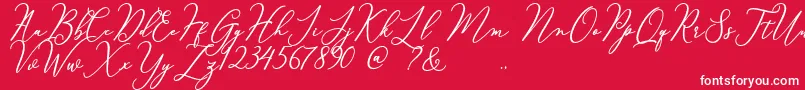 Courtney Font – White Fonts on Red Background