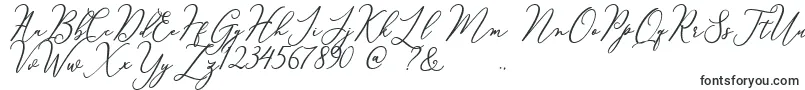 Шрифт Courtney – шрифты, начинающиеся на C