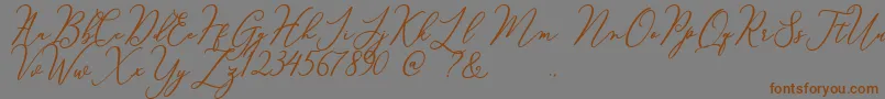 More about Courtney Font Courtney Font – Brown Fonts on Gray Background