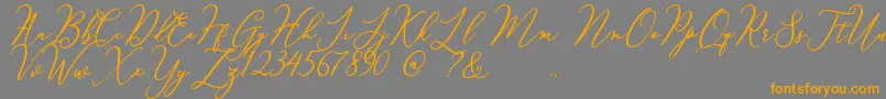 Courtney Font – Orange Fonts on Gray Background
