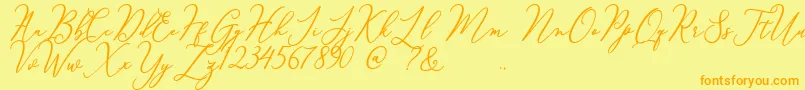 Courtney Font – Orange Fonts on Yellow Background