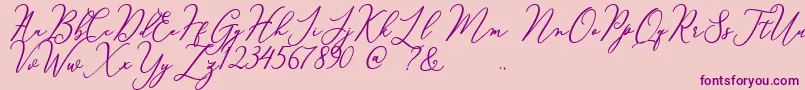 Courtney Font – Purple Fonts on Pink Background