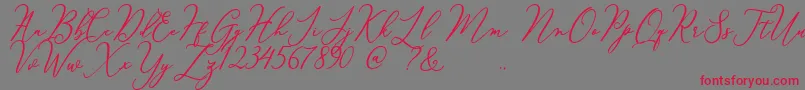 Courtney-Schriftart – Rote Schriften auf grauem Hintergrund